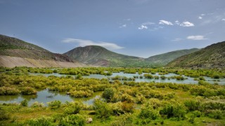 Beyhanda fotosafari heyecanı