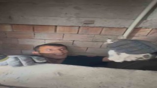 Bina boşluğuna düşen yavru kedi itfaiye ekiplerince kurtarıldı