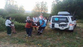 Bingölde otomobil uçuruma yuvarlandı: 2 yaralı