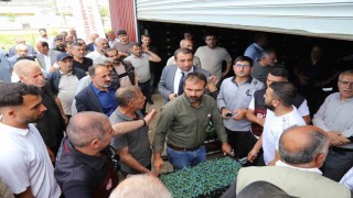 Bingölde üreticilere 442 bin sebze fidesi dağıtıldı