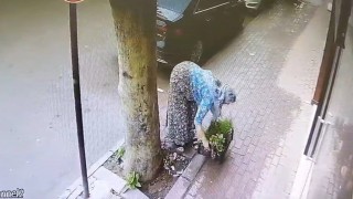 Bir kasa çiçeği böyle götürdü