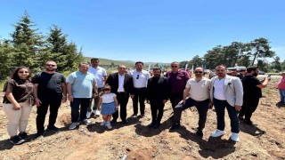 Bodrumda fidanlar anneler için kök saldı
