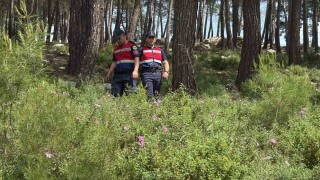 Bodrumda ormanlara giriş yasaklandı, jandarma termal dronla kuş uçurtmuyor
