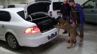 Boluda kaçakçılık operasyonunda 4 gözaltı