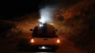 Bozdoğanda ilaçlama çalışmaları sürüyor