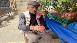 Bu bitki doğal şifa kaynağı