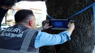 Bu cihaz Sakaryada yeşil cennetin tomografisini çekecek
