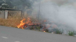 Burhaniyede ot yangını korkuttu