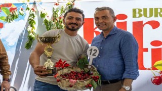 Burmahanda ilk kez kiraz festivali düzenlendi