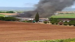 Bursa Yenişehirde hayvan çiftliğinde büyük yangın