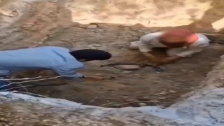 Bursada ölen köpekleri mezardan çıkarmaya çalıştılar