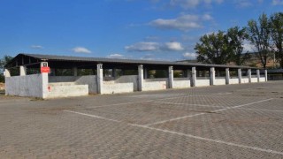 Bursanın Yenişehir ilçesinde şap karantinası