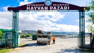 Büyükşehir Hayvan Pazarı için yer satışları başlıyor