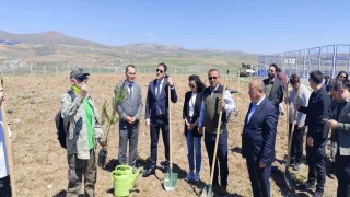 Büyükşehir, Pınarbaşıdaki eğitim yuvasına 2 bin 500 fidan dikti
