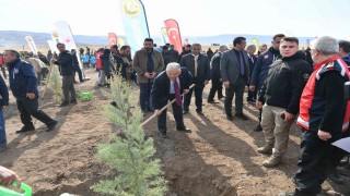 Büyükşehirden 6 yılda 750 bin fidan ile Kayseriye yeşil katkı