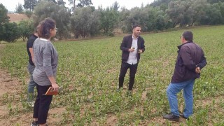 Büyükşehirden dolu afetine karşı hızlı müdahale