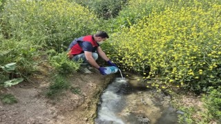 Çanakkalede çeltik ekim alanlarında sivrisinek mücadelesi başladı