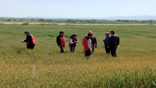 Çanakkalede üreticilerin ekili dikili alanlarında saha incelemesi yapıldı