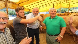 Canikte kurbanlıklar görücüye çıktı