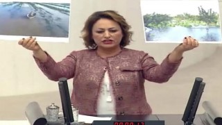 CHP’li Şevkin; “Çukurova, Afet Bölgesi İlan Edilmelidir”