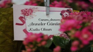Çiçekçilerde Anneler Günü yoğunluğu