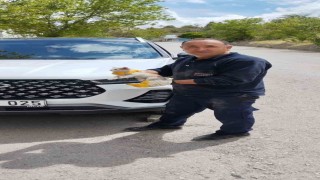Cipin motor kısmına sıkışan yavru kediyi itfaiye kurtardı