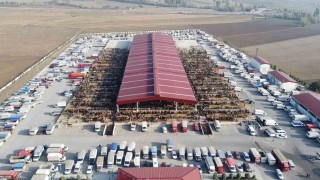 Çoruda kurban pazarı yarın açılıyor