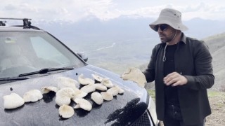 Dağlarda kendiliğinden yetişiyor, kilosu bin 250 TLden satılıyor