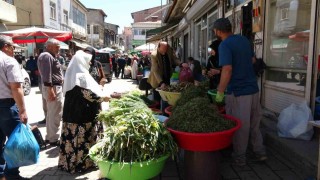 Dağlardan toplanan otlar hem şifa hem kazanç sağlıyor