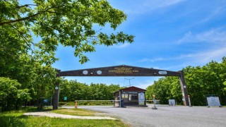 Danamandıra Tabiat Parkı yaza hazır