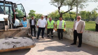 Darıcada yaz seferberliği