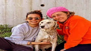 Depremde kurtarılan köpek, Datçadaki yeni hayatına devam ediyor
