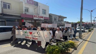 Diclede Sağlıklı Yaşam Yürüyüşü düzenlendi