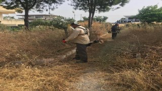 Didim Belediyesinden kuru ot seferberliği