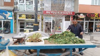 Diyadinde baharın müjdecisi ışkın ve çiriş tezgahları süslüyor