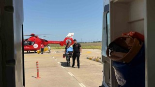Diyarbakırda ağaçtan düşen şahıs helikopterle hastaneye nakledildi