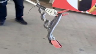 Diyarbakırda markete giren yılan itfaiye erleri tarafından yakalandı