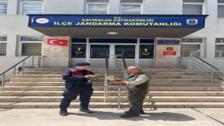 Doğada bulunan yaralı şahinler tedavi altına alındı