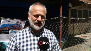 Dr. Öğretim Üyesi Ahmet Şahin: Karadenizde açıkta beslenemeyen yunuslar kıyıya vuruyor