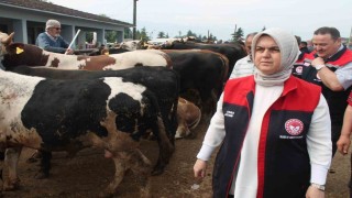 Düzcede Kurban Bayramı öncesi sıkı denetim