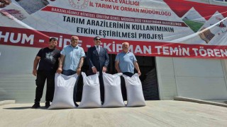 Düzceli çiftçilere çeltik tohumu dağıtıldı