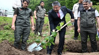 Düziçi'nde Koruyucu Aile Hatıra Ormanı Oluşturuldu