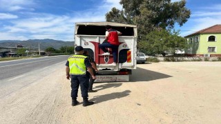 Eksik evrakla canlı hayvan taşıyan 2 kişi cezadan kaçamadı