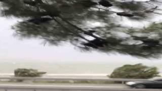 Elazığda fırtına etkili oldu