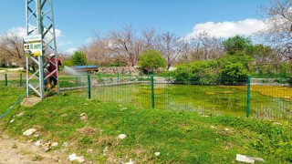 Elazığda larva ilaçlama çalışmaları sürüyor