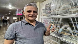 Elazığda muhabbet kuşlarına yoğun ilgi