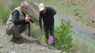Elazığda Ulusal Biyolojik Çeşitlilik ve Envanter İzleme Projesi çalışması