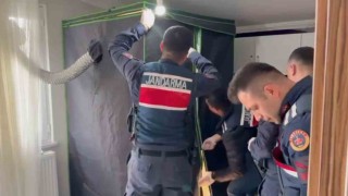 Elbise dolabından uyuşturucu serası çıktı: 4 tutuklama