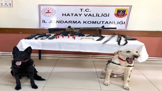 Eli silahlı sosyal medya şovmenlerine jandarmadan operasyon