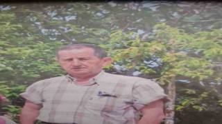Emekli öğretmen her yerde aranıyor